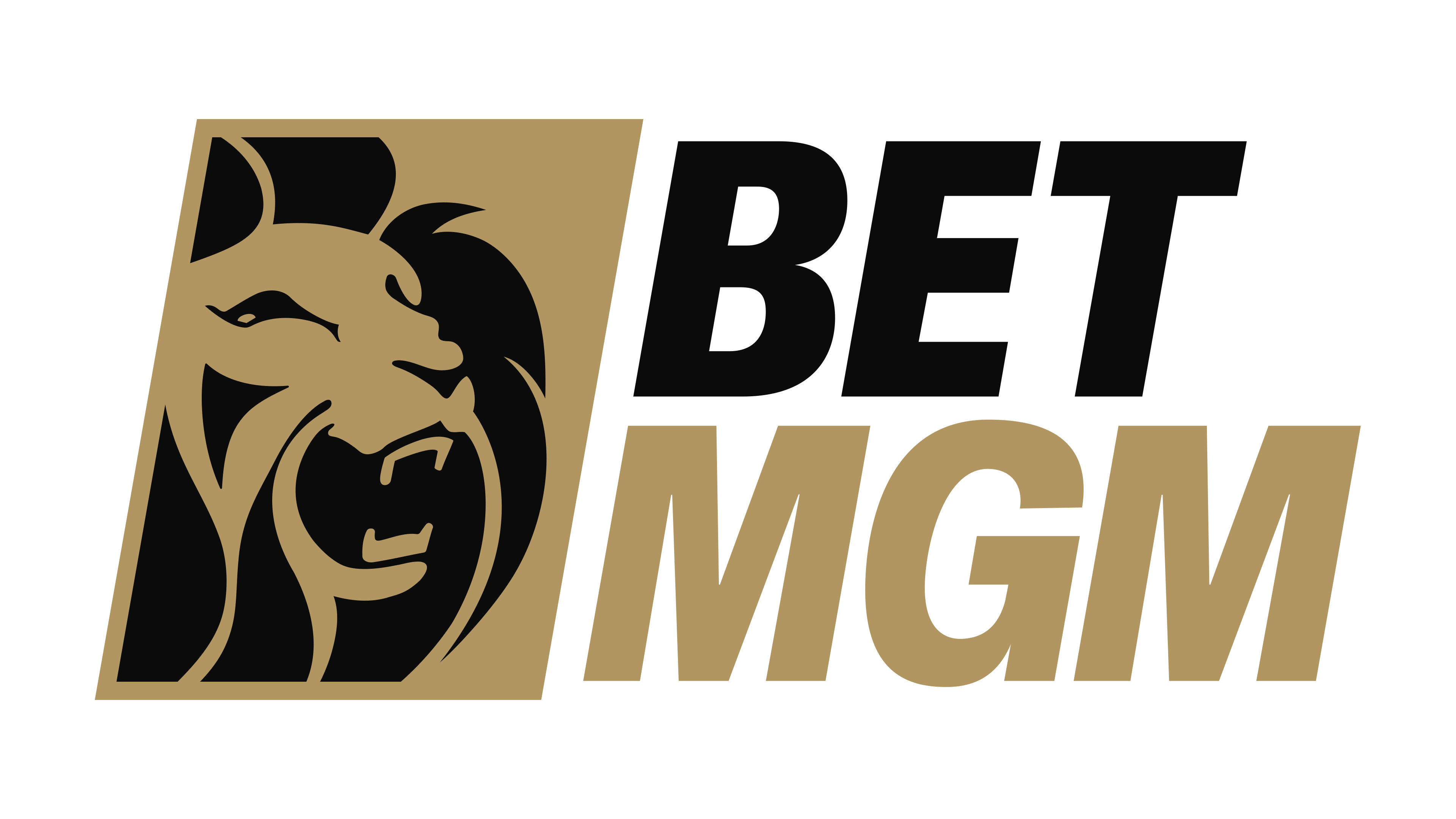 betmgm Sports